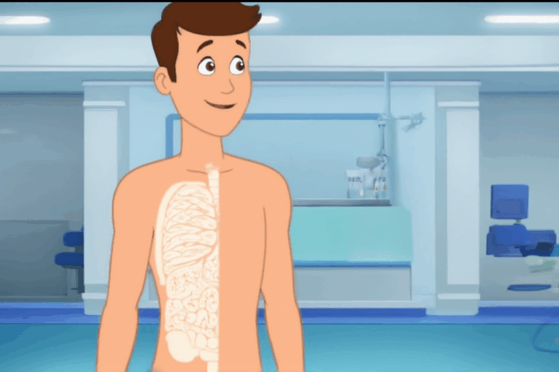 What Organs Are On Your Left Side? (Anatomy Explained!)