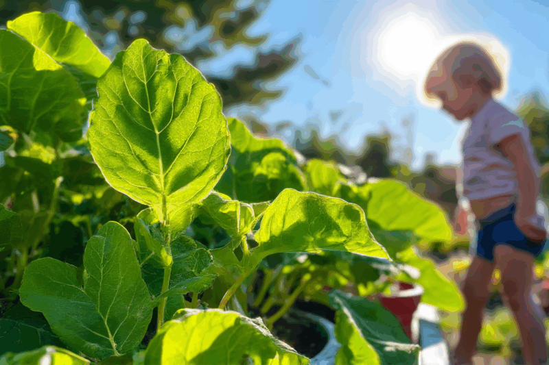 What is Photosynthesis? The Amazing Way Plants Make Food!