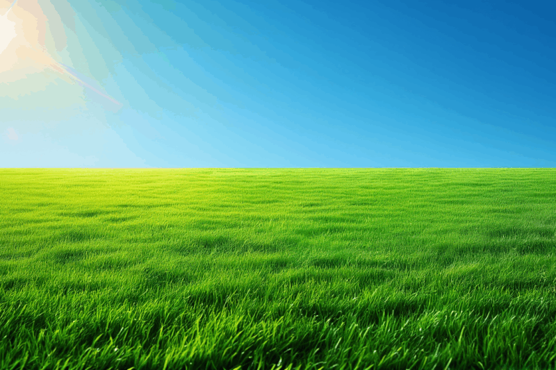 Why Is Grass Green? Unraveling Nature’s Colorful Secret!