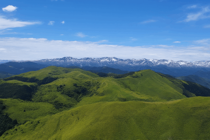 Why is New Zealand So Amazing? (You Won’t Believe It!)