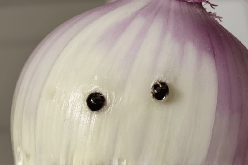 Why Do Onions Make You Cry? The Scientific Reason for Your Kitchen Tears!